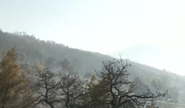 Φωτιά - Εύβοια: Ξεκίνησαν ρίψεις νερού από εναέρια μέσα (βίντεο)