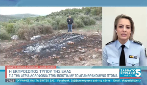 Απανθρακωμένο πτώμα με χειροπέδες μέσα σε καμένο όχημα στη Βοιωτία (βίντεο)