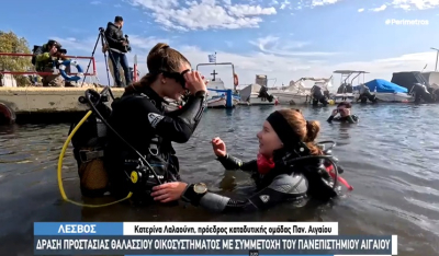 Λέσβος: Υποθαλάσσιος καθαρισμός στο λιμανάκι της Βαρειάς από την καταδυτική ομάδα του Πανεπιστημίου Αιγαίου (βίντεο)