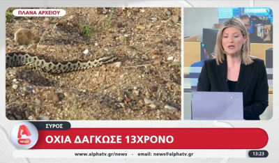 Σύρος: Οχιά δάγκωσε 13χρονο αγόρι (βίντεο)