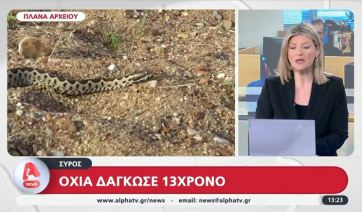 Σύρος: Οχιά δάγκωσε 13χρονο αγόρι (βίντεο)