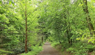 Παγκόσμια Ημέρα Δασών 2026 - «Δάση και Οικονομία» και η ανάγκη προστασίας του δασικού πλούτου του Αιγαίου ως πυλώνα βιωσιμότητας