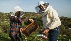 Σεμινάριο μελισσοκομίας διοργανώνεται στην Πάρο