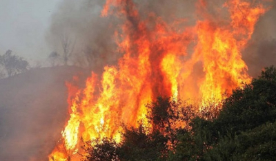 Φωτιά στο Λαύριο – Μεγάλη κινητοποίηση της πυροσβεστικής