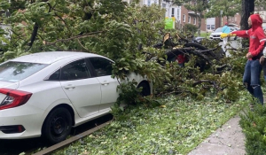 Καναδάς: Η καταιγίδα Λι χτυπάει τη χώρα - Νεκρός οδηγός που τον καταπλάκωσε δέντρο