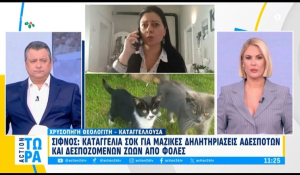 Σίφνος: Καταγγελία - σοκ για μαζικές δηλητηριάσεις αδέσποτων και δεσποζόμενων ζώων από φόλες (βίντεο)