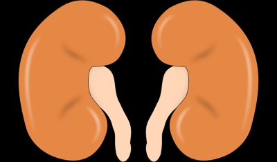 Παγκόσμια Ημέρα Νεφρού – Υγεία των νεφρών για όλους (βίντεο)