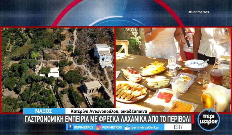 Νάξος: Μαθήματα μαγειρικής για τουρίστες (βίντεο)