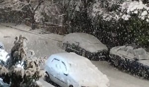 Σπάνε με κρότο τα κλαδιά των δέντρων από το βάρος της σφοδρής χιονόπτωσης στην Αθήνα! (Βίντεο)