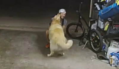 Σαν Ντιέγκο: Διαρρήκτης έκανε... διάλειμμα για παίξει με τον σκύλο του σπιτιού που «ξάφριζε» - «Κι εγώ σ' αγαπώ»
