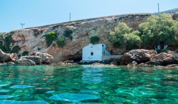 Στην Πάρο το σκύλο δεν θα πάρω - Άγνοια και προκατάληψη του Δήμου Πάρου για το κολύμπι των σκύλων