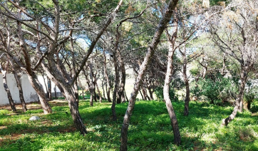 Πάρος: Αυτές είναι οι προτάσεις του Πολιτιστικού Συλλόγου Καμαρών για το νέο Τοπικό Πολεοδομικό Σχέδιο Πάρου