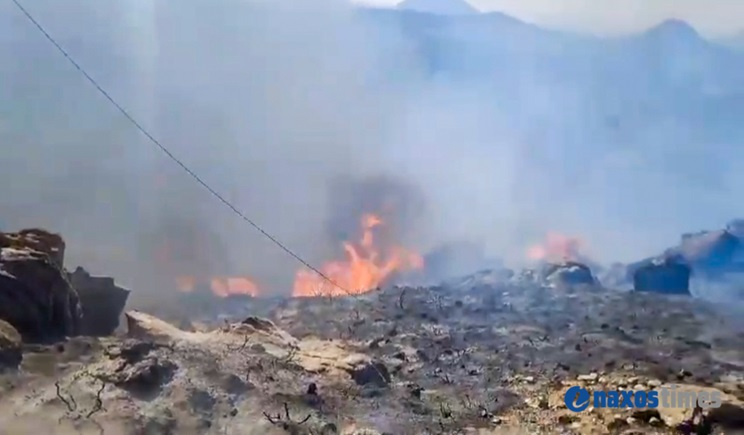 Φωτιά σε περιοχή μεταξύ Μονής και Κινιδάρου Νάξου (βίντεο)