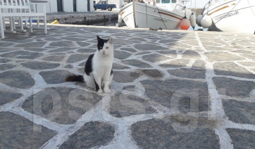 Πάρος, Πάσχα 2020: "Εξαφανίστηκε" ο κόσμος αλλά παρέμεινε η απίστευτη ομορφιά της Νάουσας!