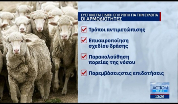 Ευλογιά: Σύσταση επιστημονικής επιτροπής για την αντιμετώπιση της ζωονόσου - Υγειονομικά μέτρα τύπου Covid προτείνει η κυβέρνηση (Βίντεο)