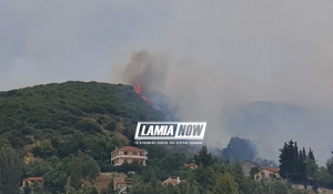 Ανεξέλεγκτη η πυρκαγιά στη Λαμία: Εκκενώθηκαν σπίτια στη Δίβρη, κάηκαν αποθήκες