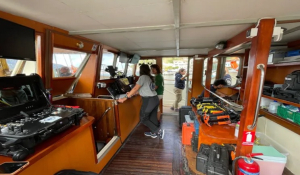 Το κρυμμένο κοράλλι της Μεσογείου (Βίντεο)