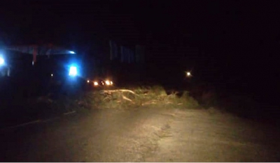 Πτώσεις δέντρων εξαιτίας του ισχυρού ανέμου στην Πάρο. Αποφεύχθηκαν την τελευταία στιγμή ατυχήματα… (Βίντεο)