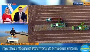 Νάξος: Αντιδράσεις για τη συμφωνία Mercosur - Οι επιπτώσεις στην ελληνική παραγωγικότητα (βίντεο)