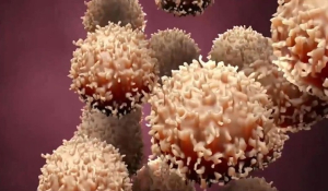 Πώς ένα νέο κύμα ανοσοθεραπείας εξαλείφει τον καρκίνο - Το μέλλον των εμβολίων