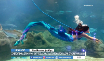 Ηράκλειο: Χριστούγεννα στον βυθό - Εντυπωσιακή κατάδυση του Αγίου Βασίλη στο Ενυδρείο Κρήτης (βίντεο)