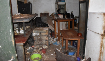 Στη φυλακή ο βασανιστής ζώων της Δονούσας – «Αγαπάω τα γατάκια», ισχυρίστηκε στη δίκη