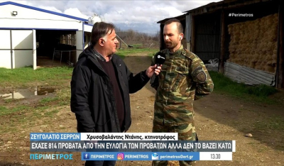 Σέρρες: Κτηνοτρόφος παραμένει στον τόπο του για να ξαναδημιουργήσει από την αρχή το κοπάδι του (βίντεο)