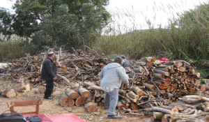 Διάθεση δωρεάν ξυλείας στους δικαιούχους με κοινωνικοοικονομικά  κριτήρια