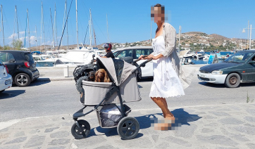Πάρος: Έβγαλε βόλτα τα σκυλάκια της μέσα σε βρεφικό καροτσάκι!