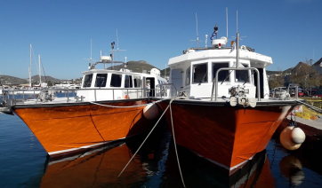 Θαλάσσιες διακομιδές ασθενών από Σέριφο και Πάρο