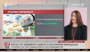 MyΘέρμανση: Εντός του Νοεμβρίου ανοίγει η πλατφόρμα - Τι ισχύει για τους δικαιούχους του επιδόματος (Βίντεο)
