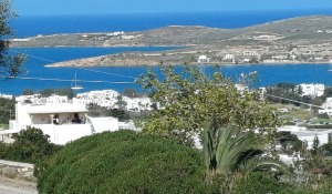 Πάρος: Πωλούνται 2 αγροτεμάχια με θέα
