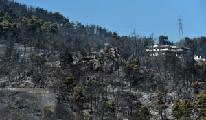 Πάνω από 94.000 στρέμματα η καμένη γη στα Βίλια –Πολωνοί και Ρουμάνοι ζήτησαν να παραμείνουν στην Ελλάδα για τις φωτιές