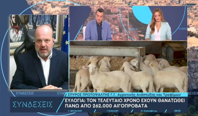 Σπ. Πρωτοψάλτης στο ΕΡΤnews για ευλογιά: Τα τρία βασικά μέτρα του ΥΠΑΑΤ - Προβληματισμός για τα εμβόλια (βίντεο)