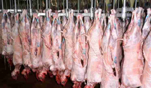 Πάρος: Ανάστατοι οι κτηνοτρόφοι μπροστά στο ενδεχόμενο διακοπής της λειτουργίας του δημοτικού σφαγείου...