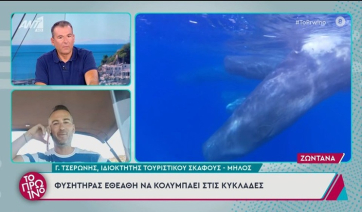 Φυσητήρας εθεάθη να κολυμπάει στις Κυκλάδες (βίντεο)