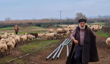 Κατέρρευσε ο κτηνοτρόφος που αποχαιρέτησε με δάκρυα τα 450 πρόβατά του - Νοσηλεύεται στο νοσοκομείο