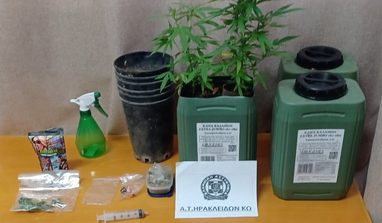 Συνελήφθησαν δύο ημεδαποί για κατοχή και καλλιέργεια κάνναβης στην Κω