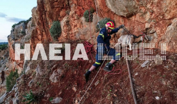 Η κατσίκα γέννησε στο πιο απίθανο σημείο! Εντυπωσιακές εικόνες από drone