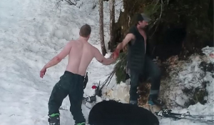 Βαρβαρότητα: Πατέρας και γιός σκότωσαν αρκούδα και αρκουδάκια σε χειμερία νάρκη και μετά πανηγύρισαν