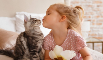 7 μαθήματα που μας διδάσκουν οι γάτες για την αγάπη