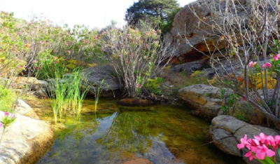Εκπαιδευτικές δράσεις και Science Café στην Πάρο για τη βιοποικιλότητα και τα υδάτινα οικοσυστήματα
