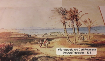 «Γκρεμίστηκε» από τον άνεμο το ψηλότερο δέντρο της Πάρου! Ιστορικός ο δυόμισι αιώνων φοίνικας…