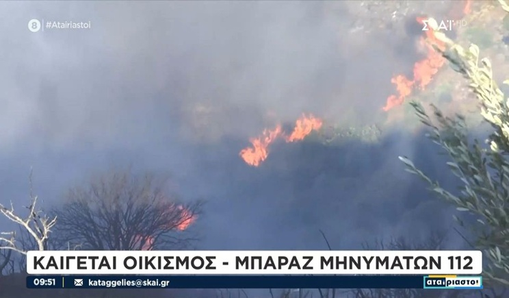 Εφιαλτικές ώρες στη Χίο: Εκκενώνεται ο Δαφνώνας - "Μάχη" σε τρία μέτωπα φωτιάς (βίντεο)