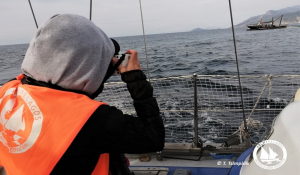 Προκλητική &amp; Καταστροφική Αλιεία από Τουρκικές Μηχανότρατες