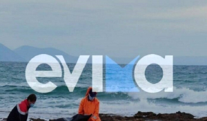 Θρίλερ στην Εύβοια: Βρέθηκε πτώμα γυναίκας στην παραλία Αλυκές