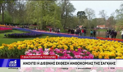 Επτά εκατομμύρια Τουλίπες, ανθίζουν σε έναν διάσημο κήπο στην Ολλανδία (Βίντεο)