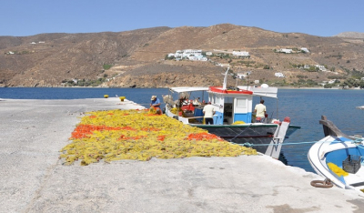 Ολα τα covid-free νησιά της Ελλάδας -Αισιοδοξία για τον τουρισμό με καθολικό εμβολιασμό των κατοίκων