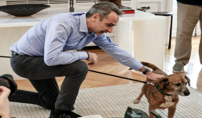 Συνάντηση Μητσοτάκη με Έλληνες που επαναπατρίστηκαν από τη Μέση Ανατολή μαζί με τα ζώα συντροφιάς τους [Εικόνες]