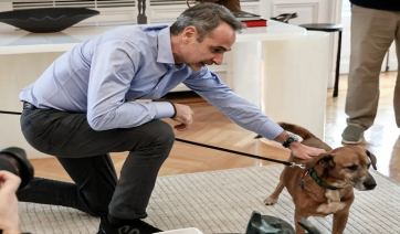 Συνάντηση Μητσοτάκη με Έλληνες που επαναπατρίστηκαν από τη Μέση Ανατολή μαζί με τα ζώα συντροφιάς τους [Εικόνες]